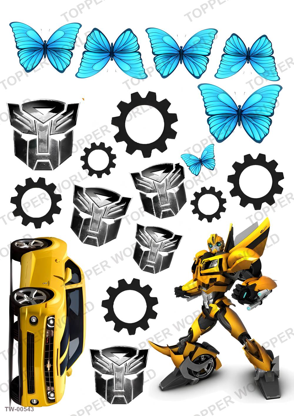 Vehicle Topper Sheet 13 – A4 topper sheet
