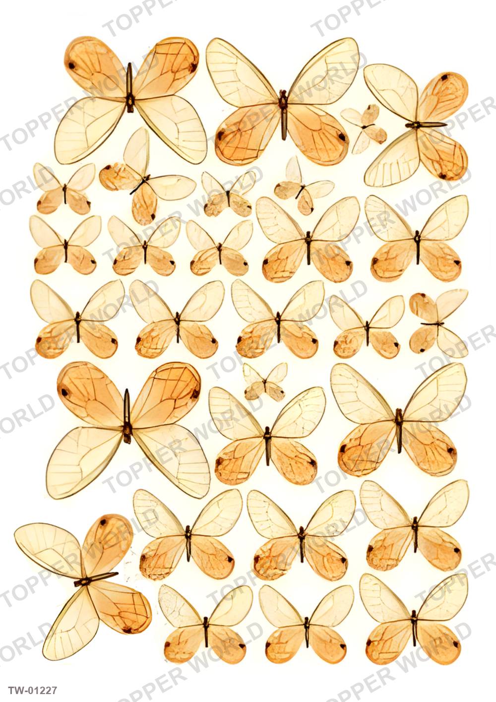 Butterfly Topper Sheet 46 – A4 topper sheet