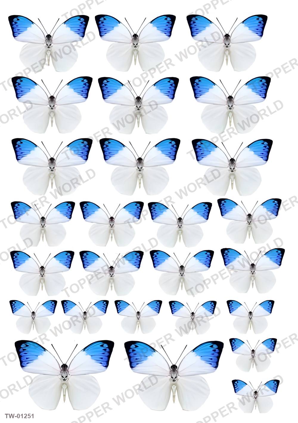 Butterfly Topper Sheet 48 – A4 topper sheet