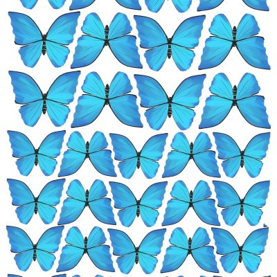 Butterfly cake topper