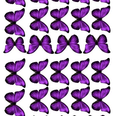 Butterfly cake topper