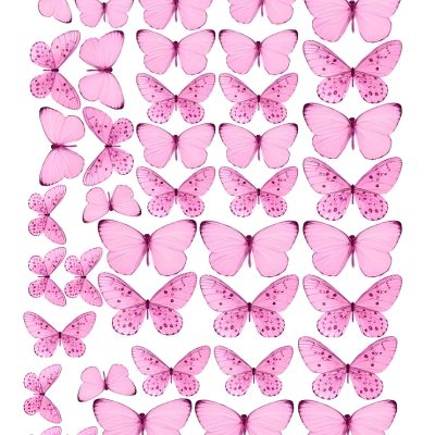 Butterfly cake topper