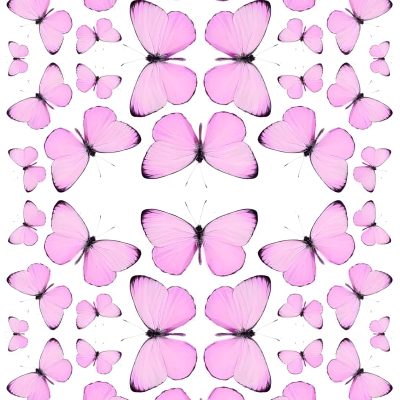 Butterfly cake topper