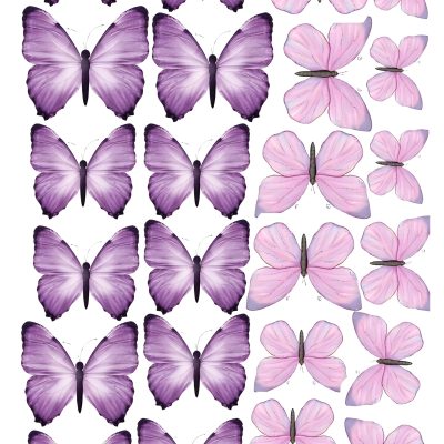 Butterfly cake topper