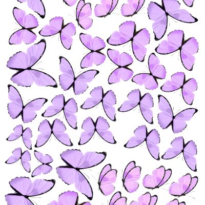 Butterfly cake topper