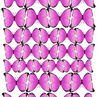 Butterfly cake topper