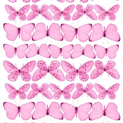 Butterfly cake topper