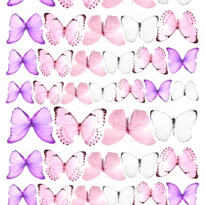 Butterfly cake topper