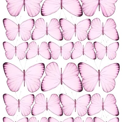 Butterfly cake topper