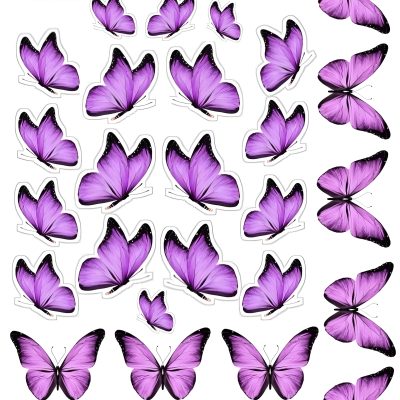 Butterfly cake topper