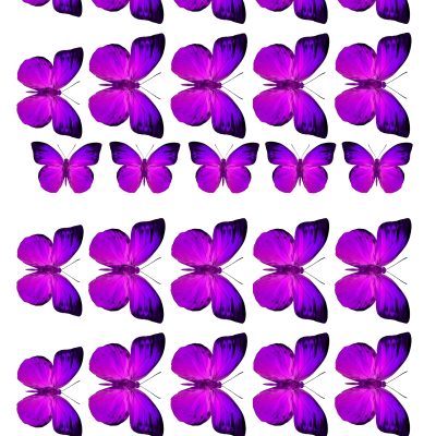 Butterfly cake topper