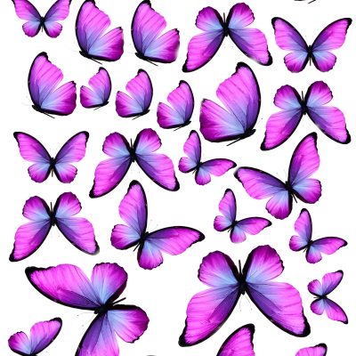 Butterfly cake topper