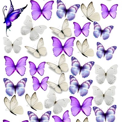 Butterfly cake topper