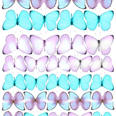 Butterfly cake topper