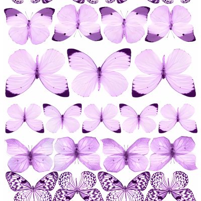 Butterfly cake topper