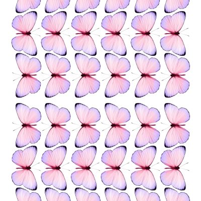 Butterfly cake topper