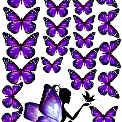 Butterfly cake topper