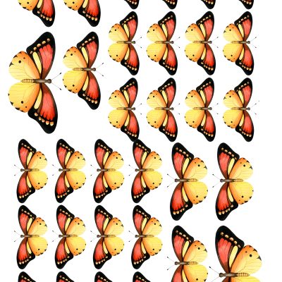 Butterfly cake topper