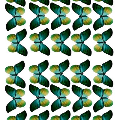 Butterfly cake topper