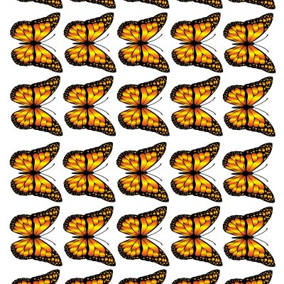 Butterfly cake topper