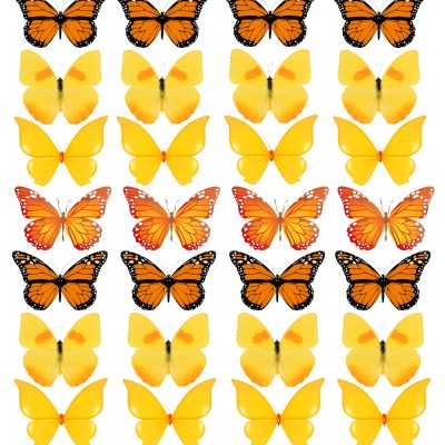 Butterfly cake topper