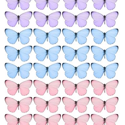 Butterfly cake topper