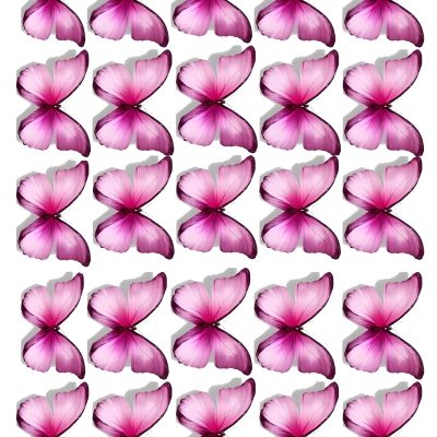 Butterfly cake topper