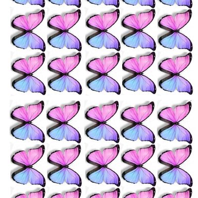 Butterfly cake topper