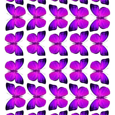 Butterfly cake topper