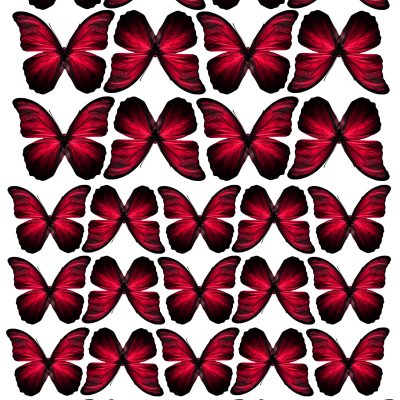 Butterfly cake topper