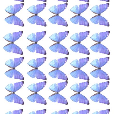 Butterfly cake topper