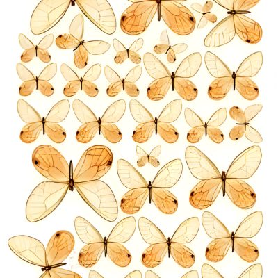 Butterfly cake topper