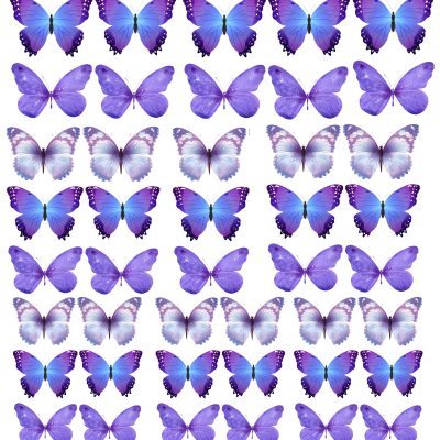 Butterfly cake topper