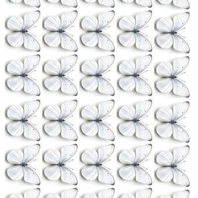 Butterfly cake topper