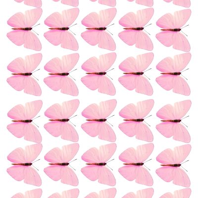 Butterfly cake topper