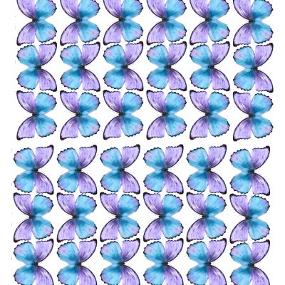 Butterfly cake topper