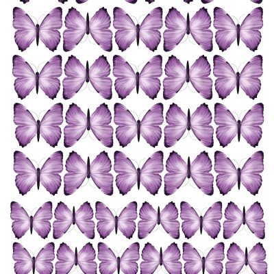 Butterfly cake topper