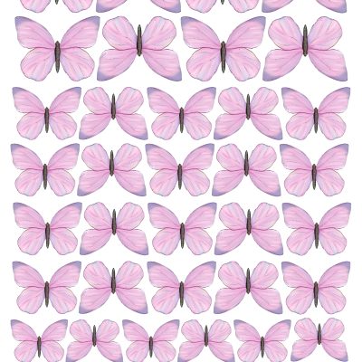 Butterfly cake topper