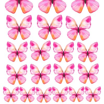 Butterfly cake topper