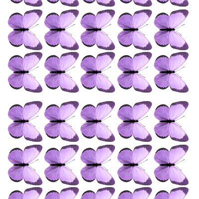 Butterfly cake topper