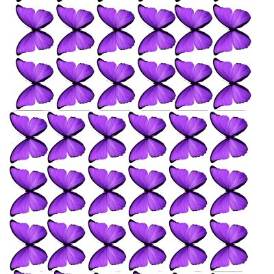 Butterfly cake topper