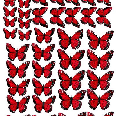 Butterfly cake topper