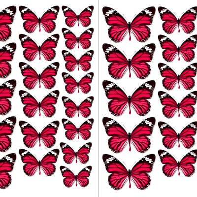 Butterfly cake topper