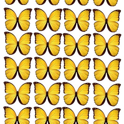 Butterfly cake topper