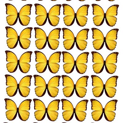 Butterfly cake topper