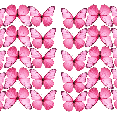 Butterfly cake topper