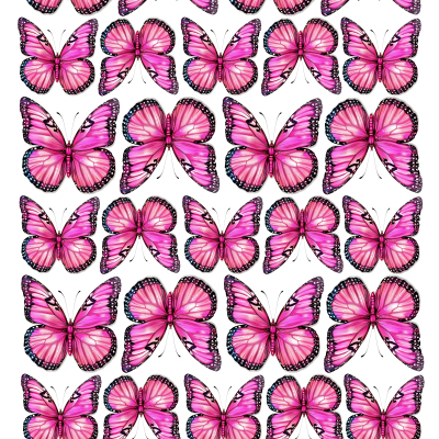 Butterfly cake topper