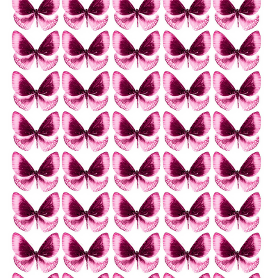 Butterfly cake topper