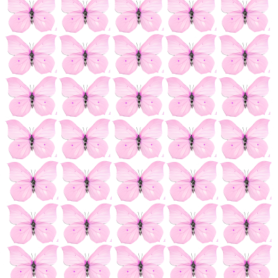 Butterfly cake topper