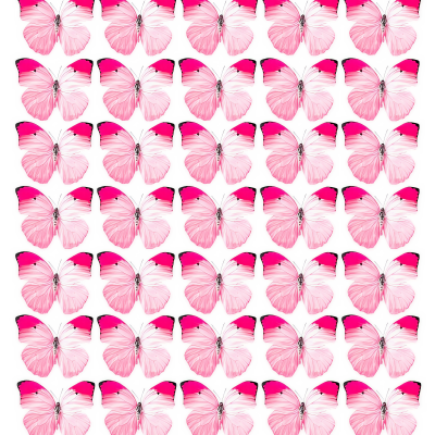 Butterfly cake topper